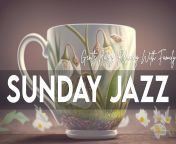 SUNDAY JAZZ ? Weekend Coffee Jazz Music And Gentle Bossa Nova Relaxing W... from bossa