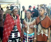 Zulu dancer from zulu tribe ladys