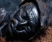 The face of &#34;Tollundemanden&#34; or the Tollund man, found in a bog near Silkeborg, Denmark, the man dates back to the celtic bronzeage, around 405 to 384 BC [1200 x 630] from bog grils