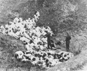 A German police officer shooting women still alive after a mass execution in the Mizoch ghetto - 14th of October 1942, western Ukraine from shemale police officer rape women
