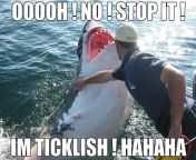 Bruce is ticklish dont tickles Bruce ? from bruce seven