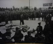 The bodies of 9 members of the pro-Nazi Iron Guard are openly displayed after their summary executions. The men were responsible for killing Prime Minister Armand C?linescu. The poster in the back reads &#34;From now on, this shall be the fate of those wh from sex hijab saudiladesh prime minister sheikh