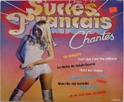Various- Succes Francais Chantes (1977) from plaisirs francais
