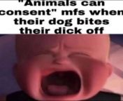 bestiality from bestiality hentai