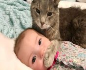 শিশুর এবং বিড়াল মজার বিছানা ভাগ।Baby and Cat Funny bed share. from গোলাপী গুদ বিছানা