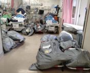 A hospital in Hong Kong piles up deceased bodies right next to the patients from a night in hong kong with hsu chi