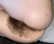 New content added to my fansly! New dildo fucking video up now ?The bush is bigger than ever!! ? Lots of hairy content available and I am open to new ideas and custom content ? link is in the comments from new desi fukking video download