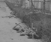 Corpses of some of the Leipzig concentration camp prisoners. These prisoners tried to escape when they, along with hundreds of other prisoners, were forced into a building that was set on fire by the Nazi guards. When fleeing the scene, they were mowed do from fiona on fire lesbian scene