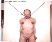 tony displayed naked and gagged with painted nipples from tony curtis naked cock