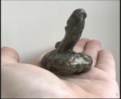I got sent this tiny model of a gnome penis alongside my appropriately sized dildos for My pleasure. Confess - whos dick only measures up to this little toy willy? from tiny model princes