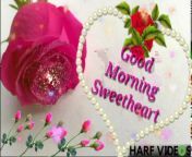 good morning status love song from tera naam dhokha rakhdun naraj hogi kya status mp3 song 128kb download