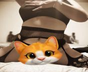 Here KITTY KITTY KITTY 🐱 no OF no biggie, selling on snap! https://t.snapchat.com/VUr2To2U from 新加坡kiara kitty
