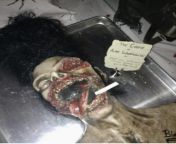 A meat platter meant to resemble Amy Winehouses rotting corpse served at Neil Patrick Harris and husband David Burkas halloween party in 2011, three months after her death. from fashion land amy set 153