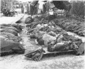 Bodies Recovered from the 1950 Hill 303 Massacre, where North Korean troops murdered over 40 American POWs. Their hands were tied behind their backs before they were shot and dumped in a ravine. This would be one of at least several POW massacres the Comm from momson korean