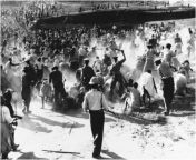The Durban riots were an anti-Indian pogrom that began on this day in 1949 in Durban, South Africa, committed primarily by African people against poor Indians. 142 were killed, and 40,000 Indians became refugees. from indiÄns sxx kom