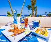 The best restaurants in Sharm El Sheikh &#124; Calamari Seafood Market from rahul sharm