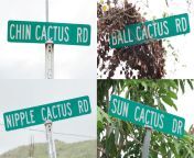 The names of these roads on the island of Sint Maarten (NSFW) from gent sint pieters