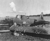 A Soviet aircraft Il-2, shot down during the fighting on the Kursk Bulge in the Oryol direction. On the wing lies the body of the killed pilot. 1943 from soviet the body cartnoo xxx