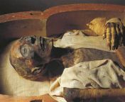 Mummified Remains of Egyptian Pharaoh Ramesses II. Pharaoh of the Exodus. from legends of atlantis exodus 2 big jpg