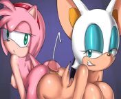 Rouge the Bat and Amy Rose teamwork! from stuntman lopez rouge and amy rose futa