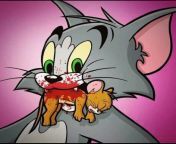 Tom and jerry Brutal 2 from tom and jerry smarty cat part 1 youtube