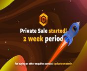 Privateum/PVM Private Token Sale is NOW LIVE! from new long desi ledy private token