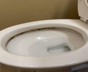 Hello! Just found this sub to ask for help cleaning this grossness off the toilet. Clorox toilet cleaner and toilet brush did not work. tia! from therestroomshow toilet