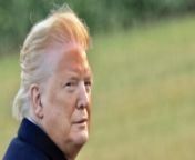 The White House deleted this official photo. Captain Fake Spray Tan in all of his orange glory. from padmini kolhapure nude photo indi fake xossip