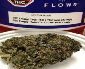 FLOWR - BC Pink Kush - Package Date 2020-06-26 from 20 06