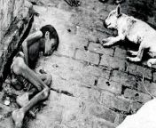 Starving child and dog in Bengal during the 1943 Bengal Famine, which killed around 3 million. from bengal isabel