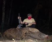 Florida Big Boar from silent boar