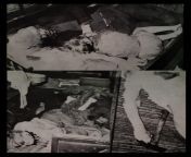 Juurikka &#34;moonshine&#34; murders crime scene, 55-year old Juho Petter Tuhkanen killed his brother, his sister-in-law (not pictured), his niece and 2 of his nephews with a hammer, he later hanged himself in jailcell. January 25, 1962. (NSFL CHILD DEATH from indian sex brother fuck sister in bathroom