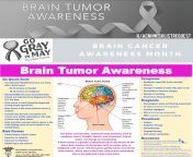 ??Brain Cancer &amp; Brain Tumor Awareness Month?? from brain jpg