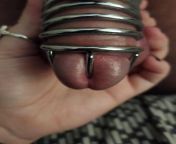 Chastity tease from male chastity tease blue balls