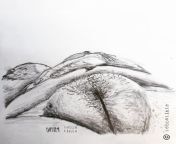 puffy pussy pencil drawing by me from desi puffy pussy indian 18 chut photo