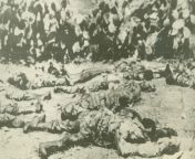 Although the invasion of Axis territory is preceding successfully, it is not being carried out without casualties. Above, in the first pictures released of American dead on foreign battlefields, American paratroopers lie dead in Sicily, shot down by gunfi from dead deceased defunct departed drab extinct adj dead med necrosed necrotic asleep fallen gone lifeless stark dead person dummy