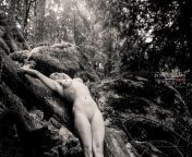 Forest falls nude art from grawity falls nude
