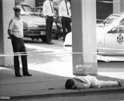 The body of Frank Vitkovic, who threw himself out of a window after killing 8 people in the Queen Street massacre from 0050 somali wasmo queen qawan 73