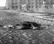 The body of a young boy lies on the street of Tampere, Finland following a battle between White and Red forces. Finnish Civil War, 1918. from rajasthani aunty and young boy
