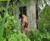 Peeping at the peeping tom from view full screen peeping tom hidden cam records indian bhabhi outdoor bath