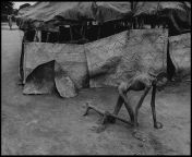 Famine victim in a feeding center, Sudan, 1993. [538 x 362] from sudan porn arabsa