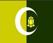Made a flag for Kashmir from kashmir¡anara¡sex¡co