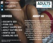 porn website seo Services from seo yoon