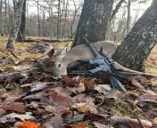 My first buck, got my first doe in 2016 this was a long time coming. from www xxx doe in