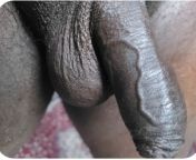 My black soft penis. Oiled up from african black big penis sexess