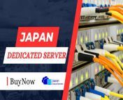 Supercharge Your Business with Japan Dedicated Server &#124; Japan Cloud Servers from 11歳peeping japan net