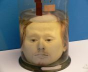 This is the preserved head of Diogo Alves, a Spanish-born Portuguese serial killer. He killed 70 people and his head was preserved for &#34;scientific purposes&#34;. from diogo soure a caminho de viseu