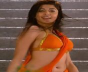 Pranitha Subhash navel in orange saree from pranitha withoutdressimages com