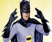 Why is batham man in a bat costume if he is afraid of bats? Is he stupid? from susheela batham