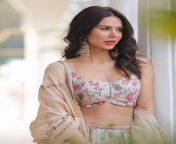 Sonam Bajwa in Crop Top and Skirt from actress sonam bajwa latest cute hot exclusive gray top dress spicy photos gallery 1 jpg